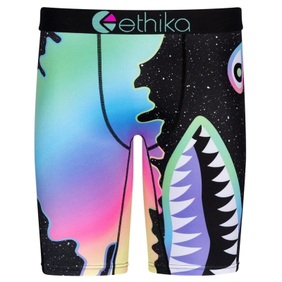 Ethika Bomber Space Staple Underwear Heren Gekleurd | NL542PGRW