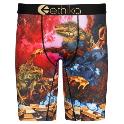 Ethika Dreams Of Bounty Staple Underwear Heren Gekleurd | NL401DQUC